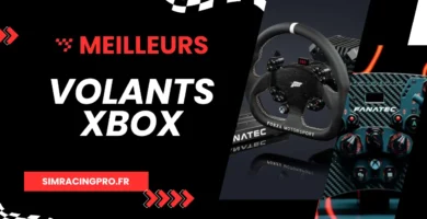 Meilleurs Volants Xbox